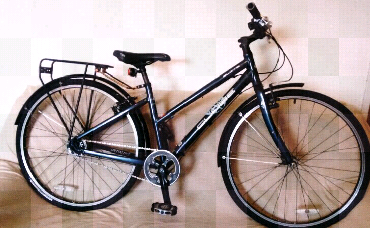 specialized globe elite